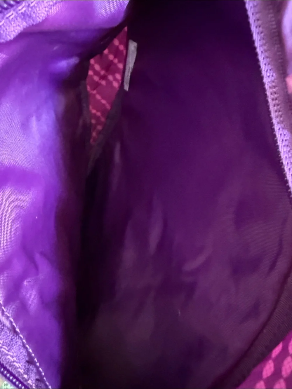 Eddie Bauer Purple Sling Backpack